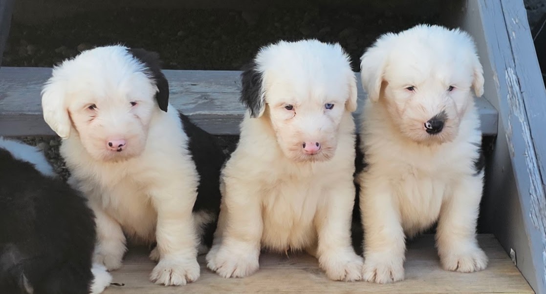 How Did They Turn 6 Weeks Already
