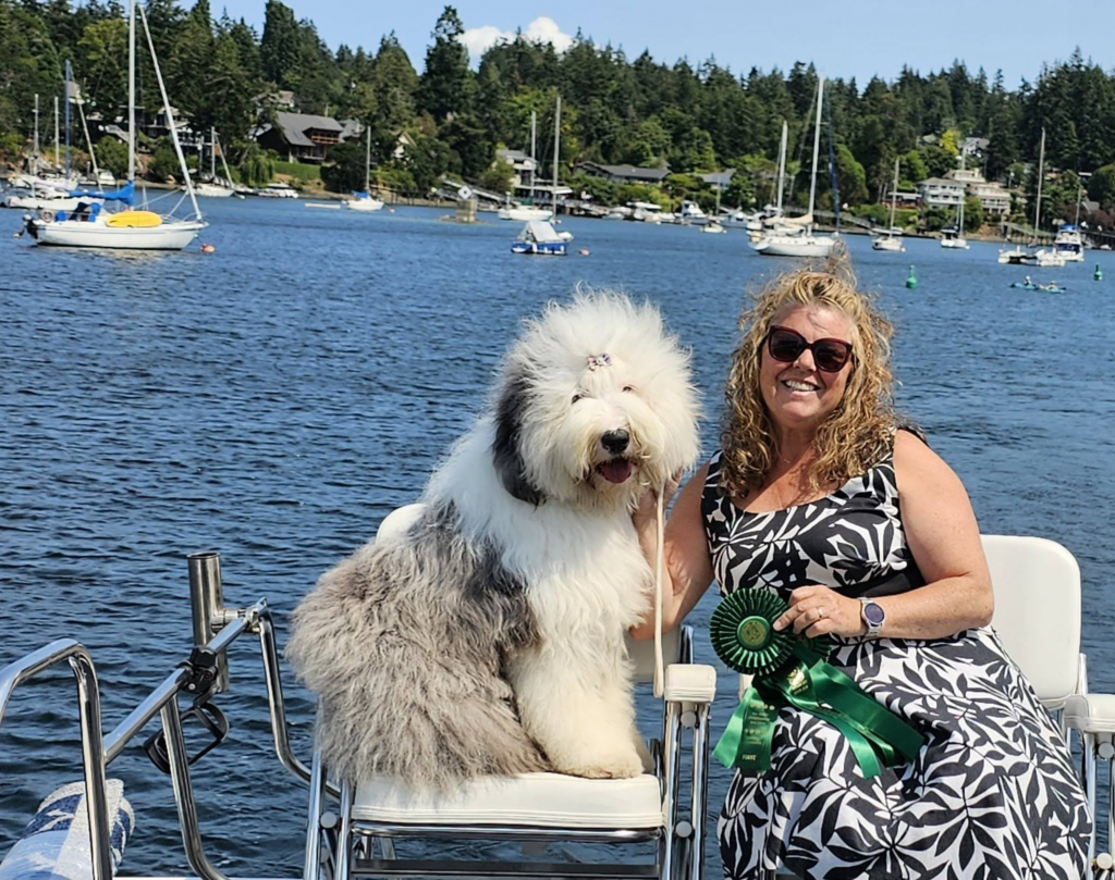 Desi, an Old English Sheepdog, on a boat with a green ribbon