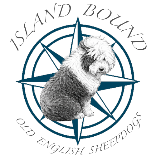 Island Bound Old English Sheepdogs